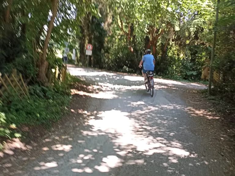 Radreise Mallorca mit Gepäcktransport: schattige Nebenstraße zwischen Algaida und Moscari