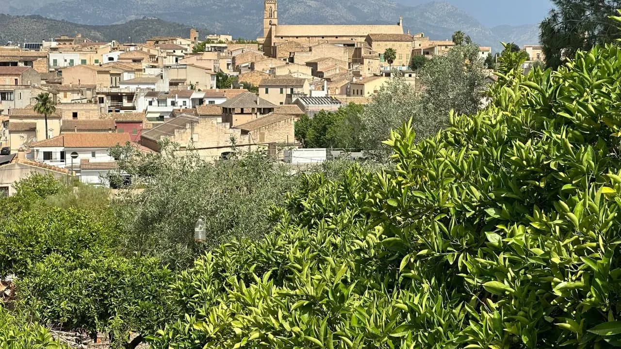 Sineu Mallorca Radurlaub: Blick auf Selva und die Tramuntana während der Sternfahrt Ariany/Sineu