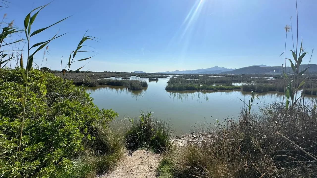 Radurlaub Mallorca Inselmitte: Küstenlandschaft bei Son Serra de Marina und Sa Canova