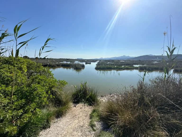 Radurlaub Mallorca Inselmitte: Küstenlandschaft bei Son Serra de Marina und Sa Canova